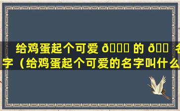 给鸡蛋起个可爱 🐈 的 🐠 名字（给鸡蛋起个可爱的名字叫什么）